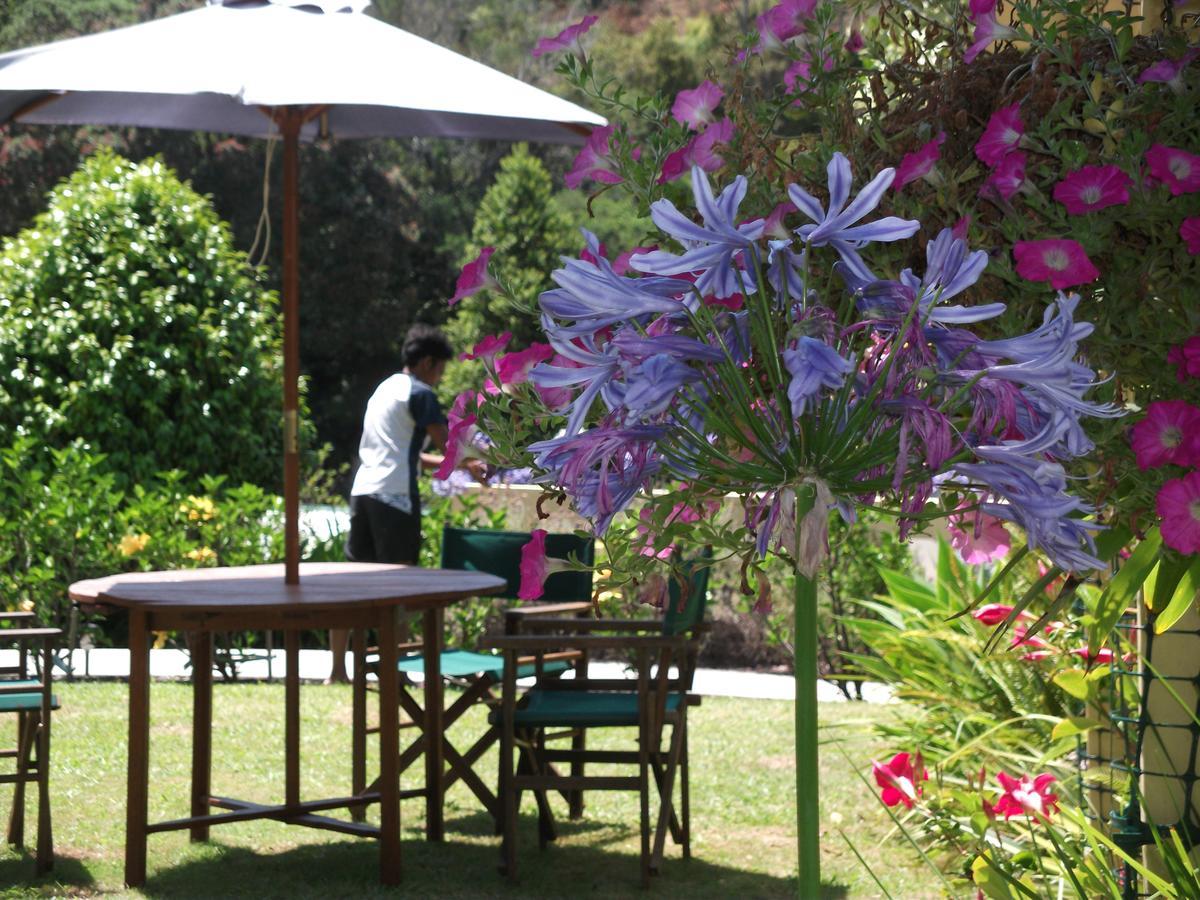 Tatahi Cove Back Packer Hostel Hahei Εξωτερικό φωτογραφία